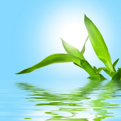 Similar image 1186711