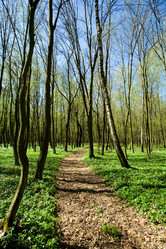 Similar image 1186713