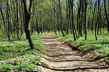 Similar image 1186729