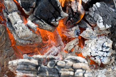 Similar image 1186742