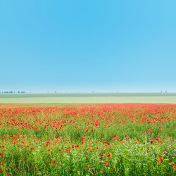 Similar image 1186757