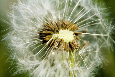 Similar image 1186762