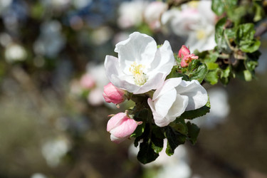 Similar image 1186766