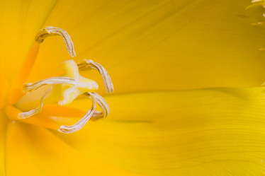 Similar image 1186774