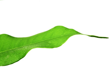 Similar image 1186778