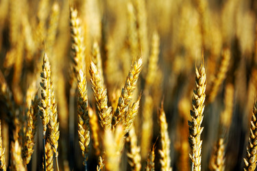 Similar image 1186779