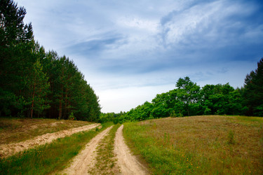 Similar image 1186790