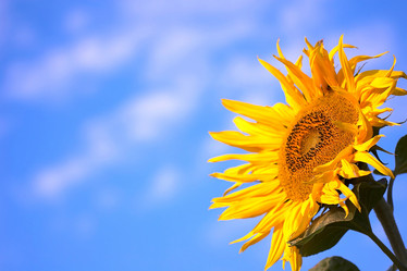 Similar image 1186792