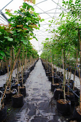 Similar image 1186805