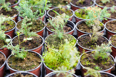 Similar image 1186807