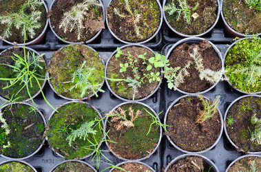 Similar image 1186809