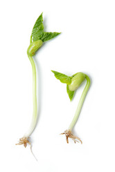 Similar image 1186817