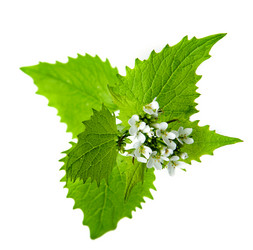 Similar image 1186818