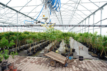 Similar image 1186826