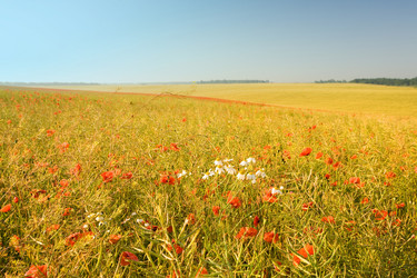 Similar image 1186842