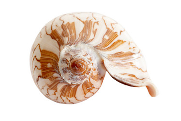 Similar image 1186849