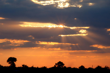 Similar image 1186855