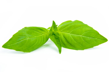 Similar image 1186862