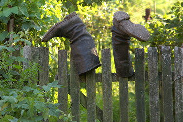 Similar image 1186867