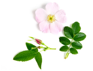 Similar image 1186872