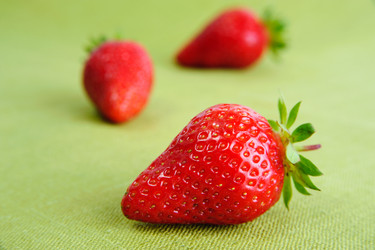 Similar image 1186877