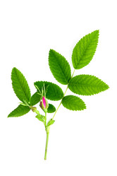 Similar image 1186881