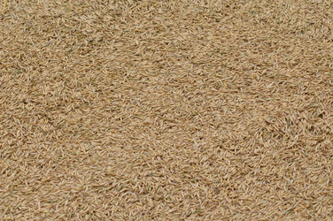 Similar image 1186893