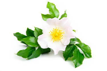 Similar image 1186899