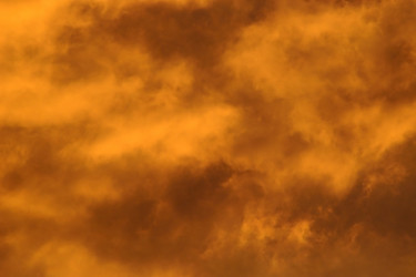 Similar image 1186909