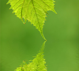 Similar image 1186910