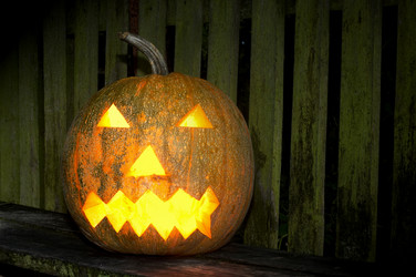 Similar image 1186916