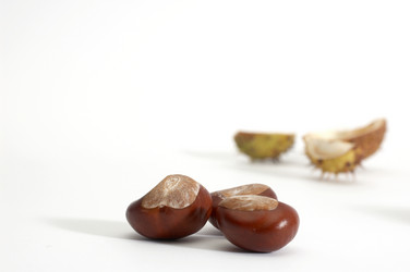 Similar image 1186919