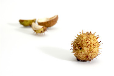 Similar image 1186929