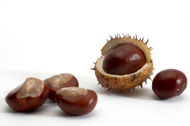 Similar image 1186930