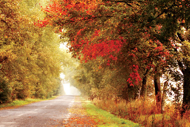 Similar image 1186943