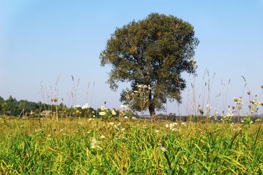 Similar image 1186968