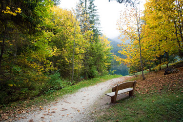 Similar image 1187002