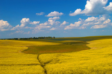 Similar image 1187024