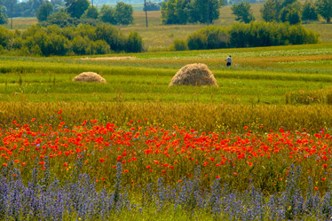 Similar image 1187025