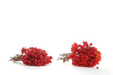 Similar image 1187040