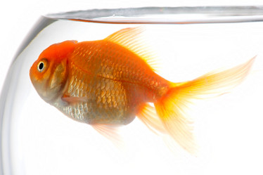 Similar image 1187071