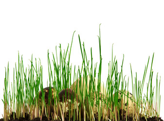 Similar image 1187072