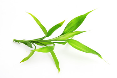 Similar image 1187091