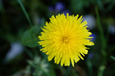 Similar image 1187093