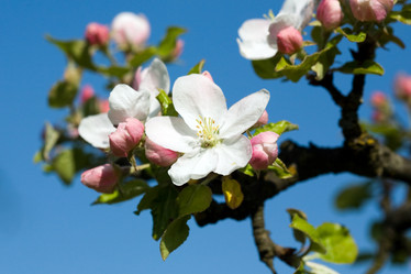 Similar image 1187097