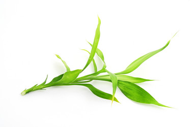 Similar image 1187103