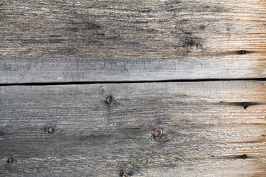 Similar image 1187105