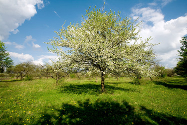 Similar image 1187108