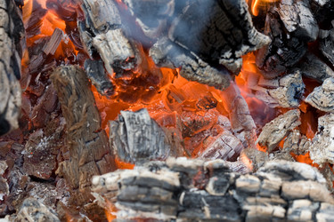 Similar image 1187110