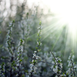 Similar image 1187113